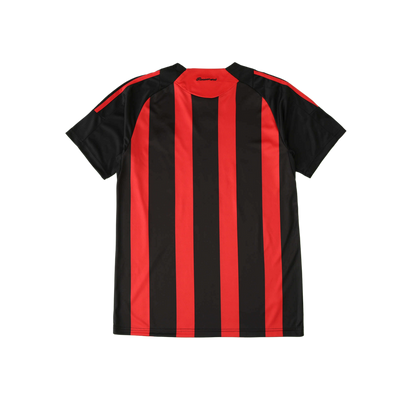 AC Milan 08/09