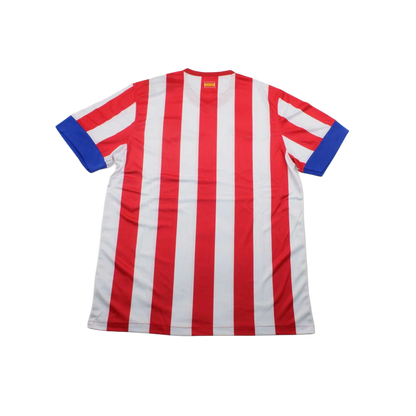 Atletico Madrid 12/13